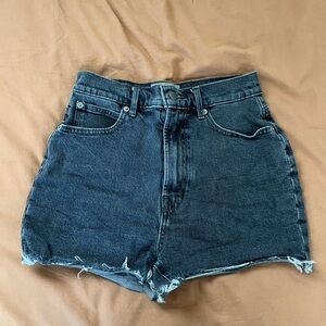 Everlane Way High Denim Short
